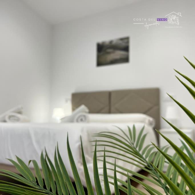 Apartamento El Mozo Labastida Kültér fotó